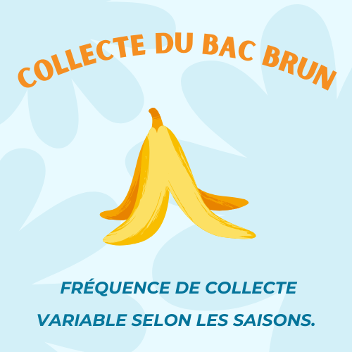 Collecte des MATIÈRES ORGANIQUES (Bac brun)