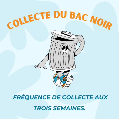 ORDURES MÉNAGÈRES (Bac noir)